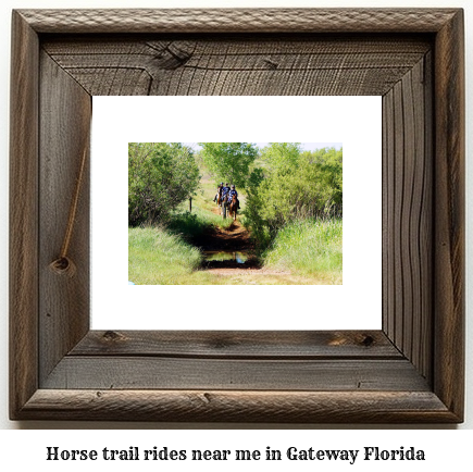 horse trail rides near me in Gateway, Florida